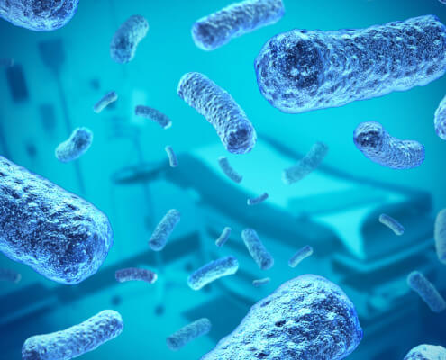 E. coli close-up