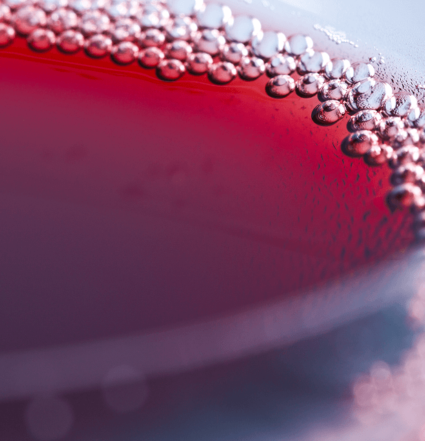 wine fundamix and food filtration